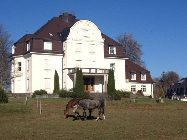 Schloss Weidenkam